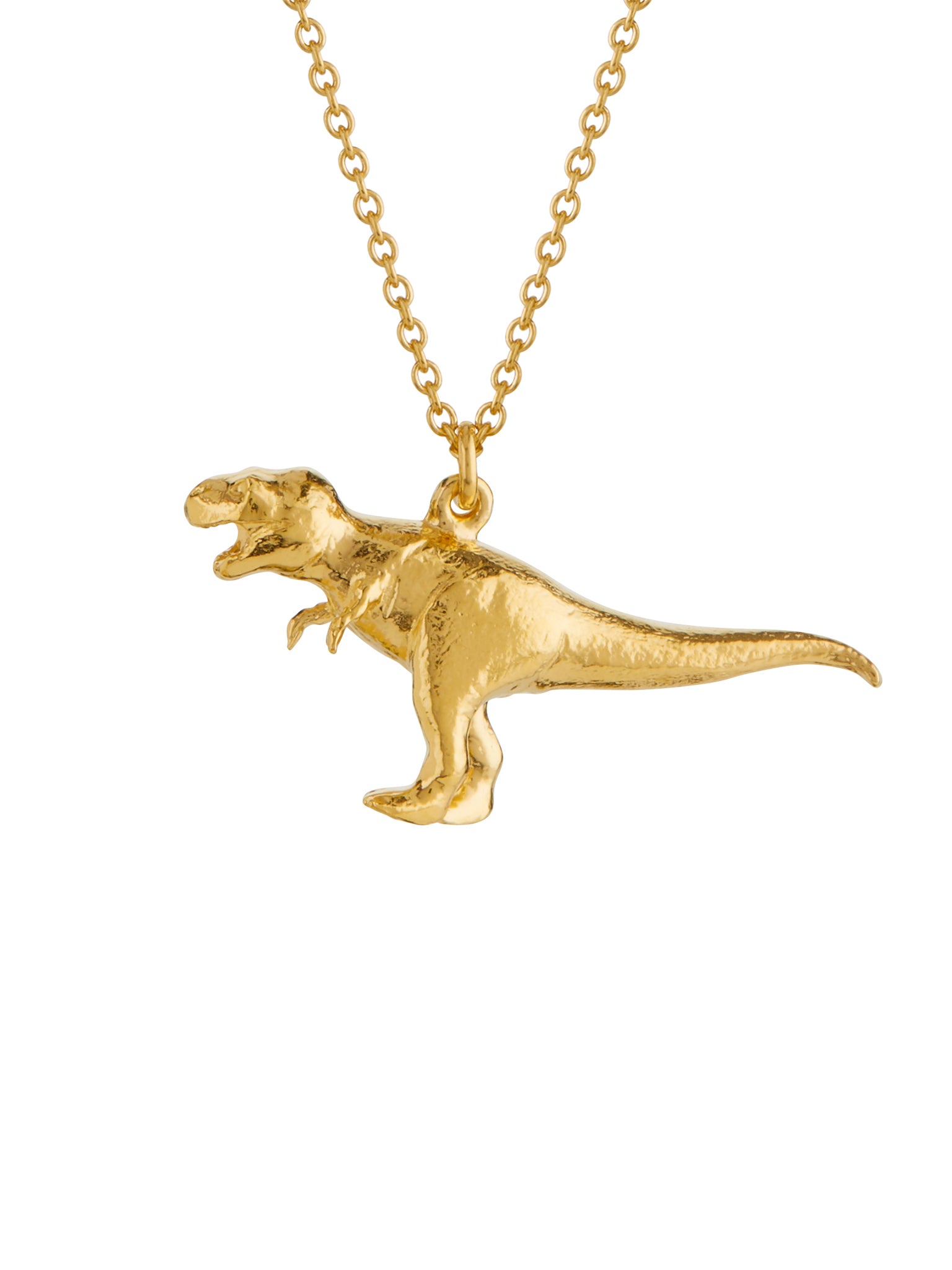 Tyrannosaurus Rex Necklace - image 6 | gold plate