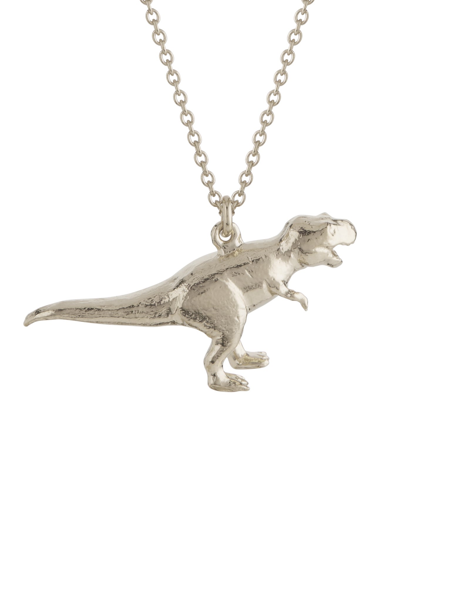 Tyrannosaurus Rex Necklace - image 7 | silver