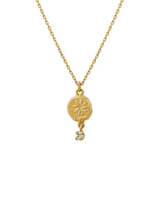 Horsetail Fossil Nugget Necklace with Hanging Diamond
