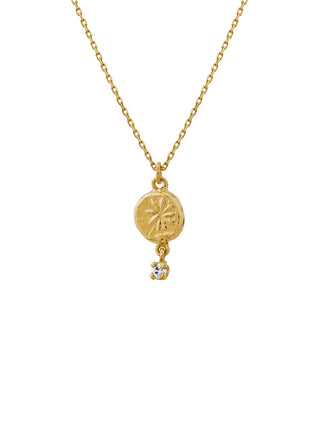 Horsetail Fossil Nugget Necklace with Hanging Diamond