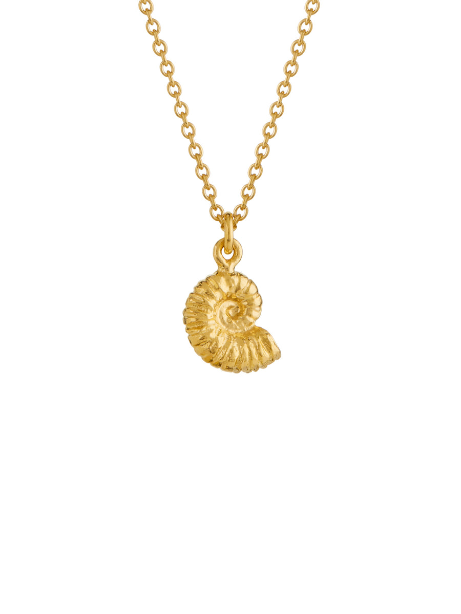 Ammonite Necklace