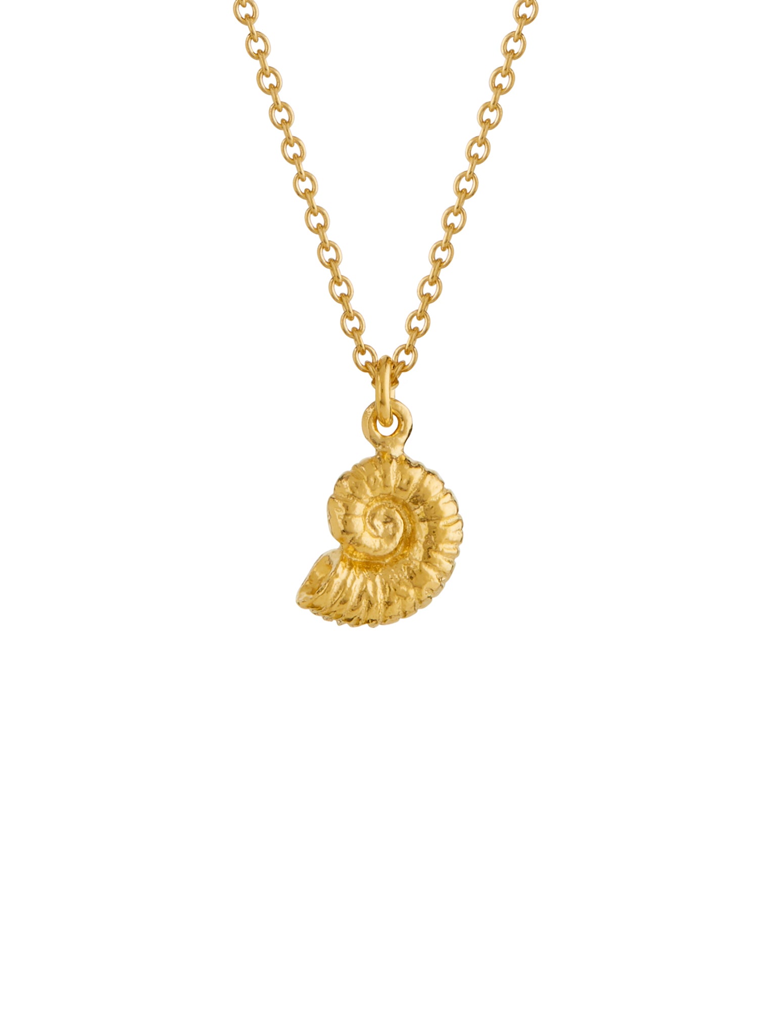 Ammonite Necklace - image 4 | gold plate