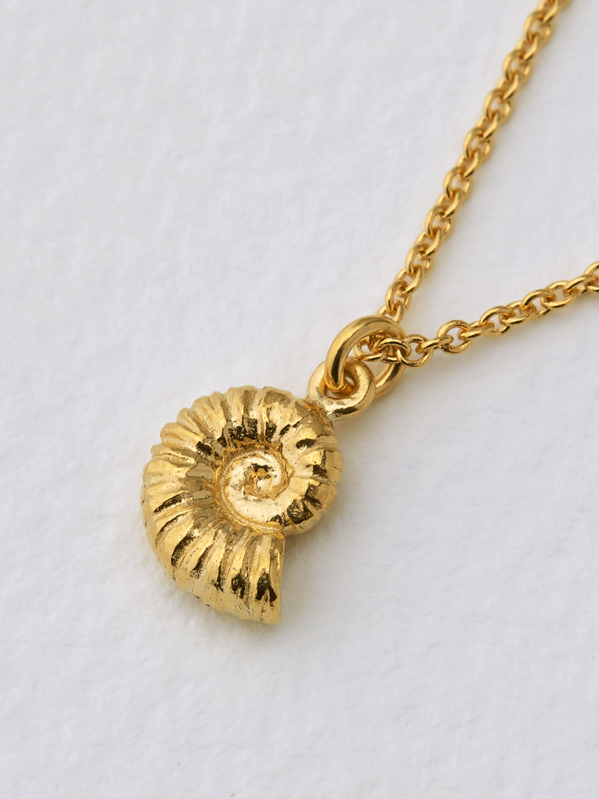 Ammonite Necklace - image 3 | gold plate