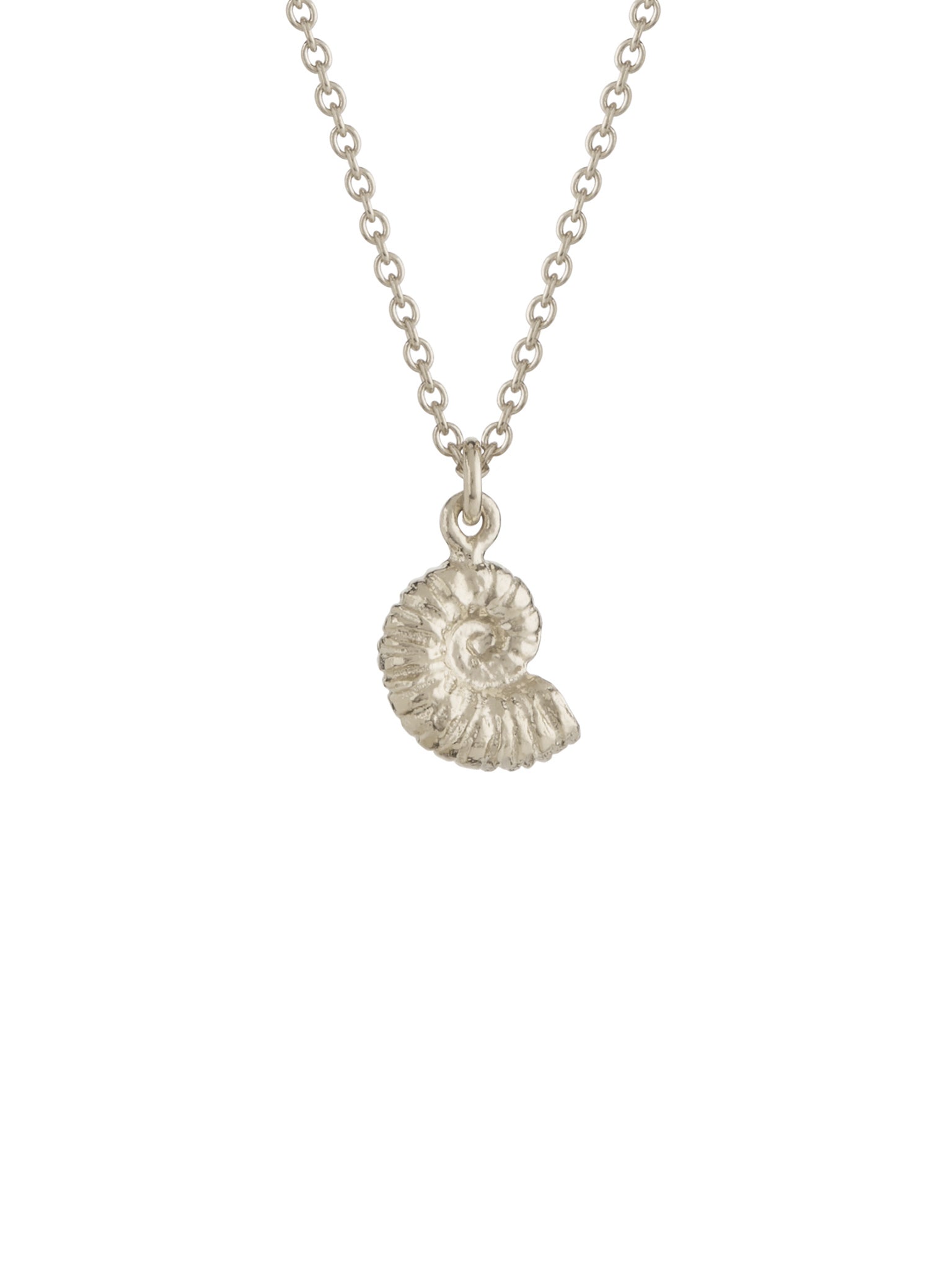 Ammonite Necklace - image 5 | silver