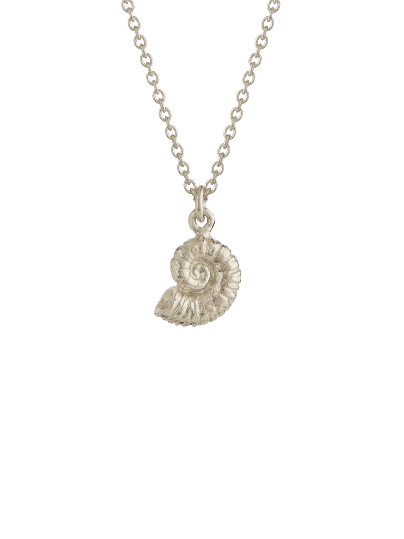 Ammonite Necklace - image 7 | silver