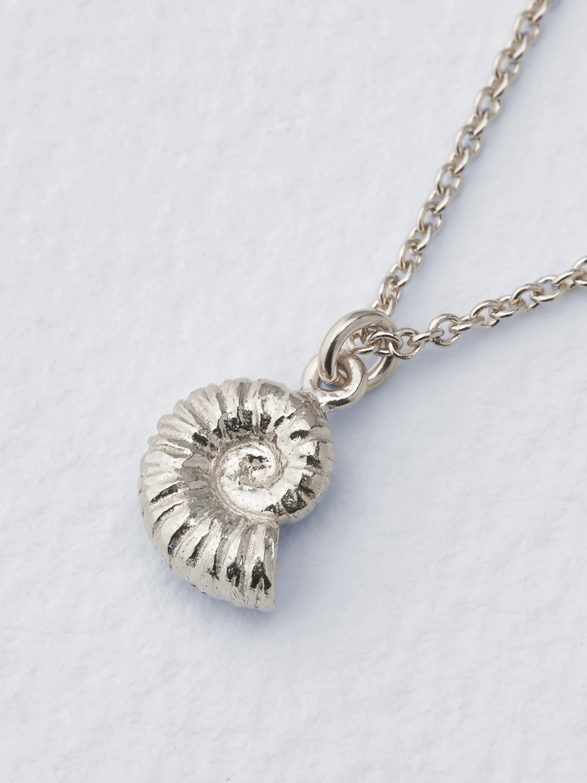 Ammonite Necklace - image 6 | silver