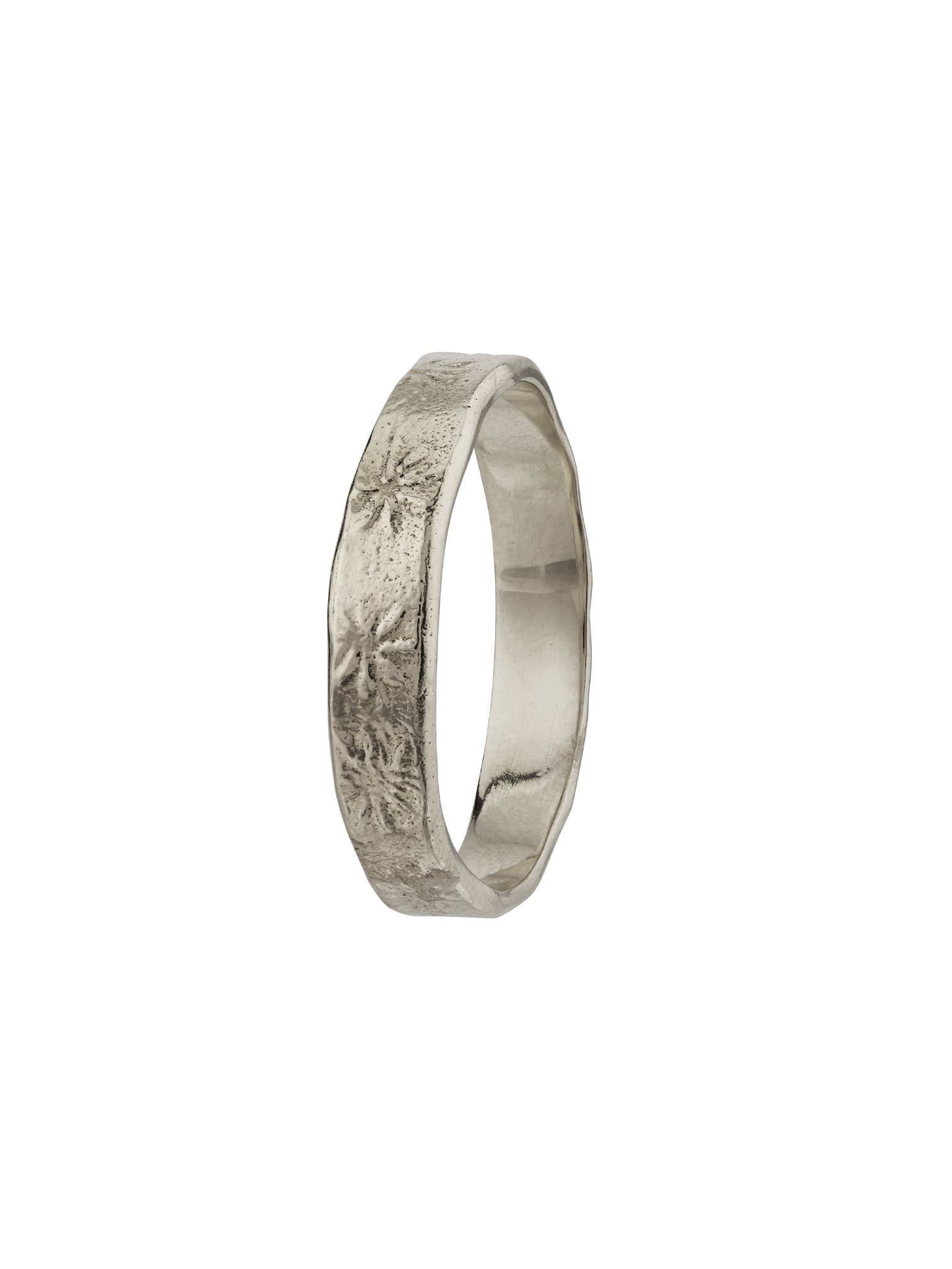 4 mm Horsetail Fossil Band - image 8 | platinum