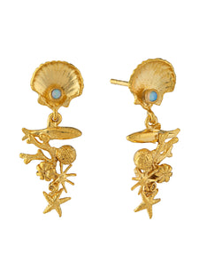Coral Reef Opal Drop Earrings
