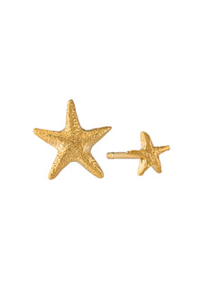 Asymmetric Starfish Stud Earrings