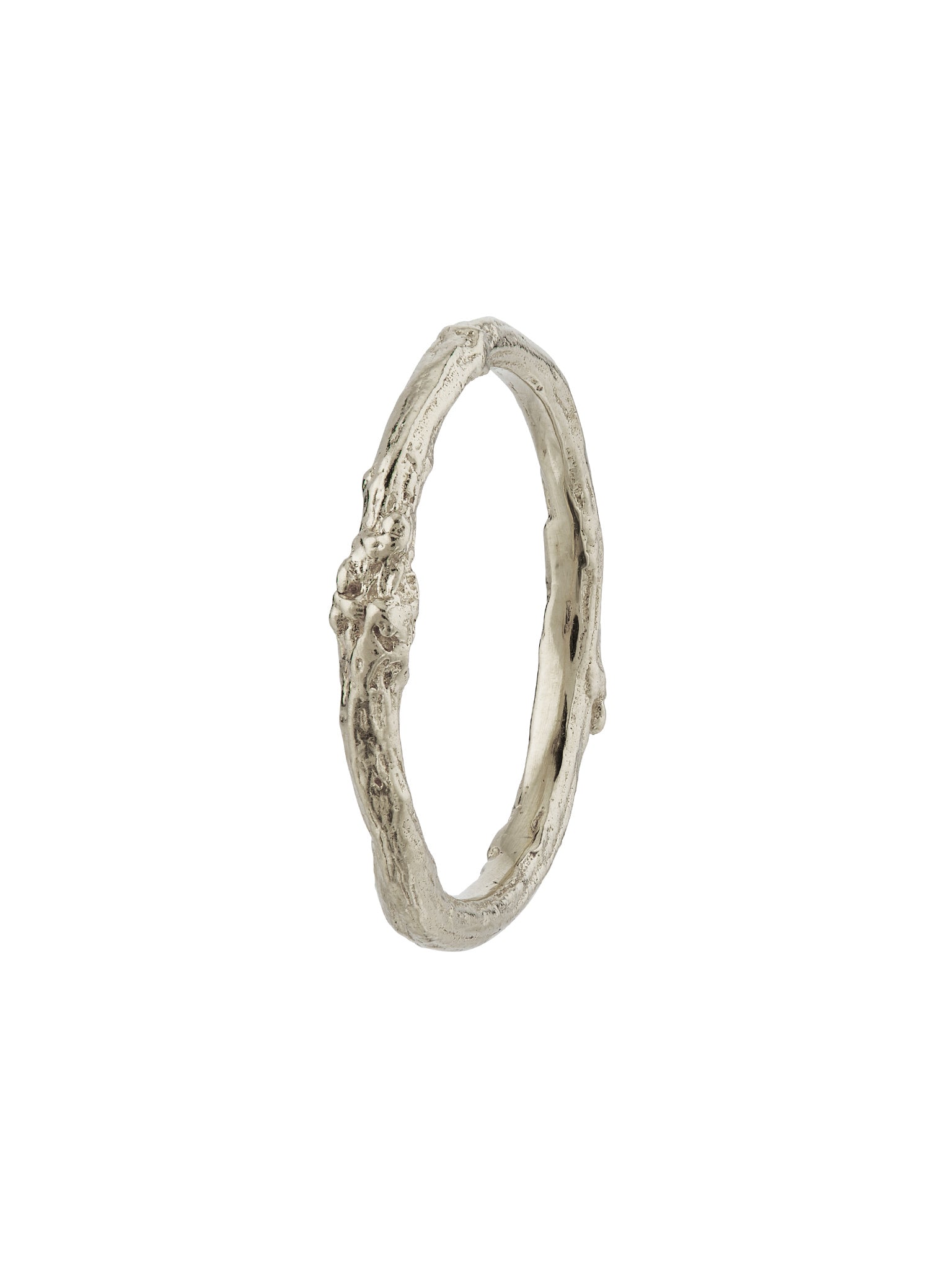 Birch Band 2mm - image 9 | platinum