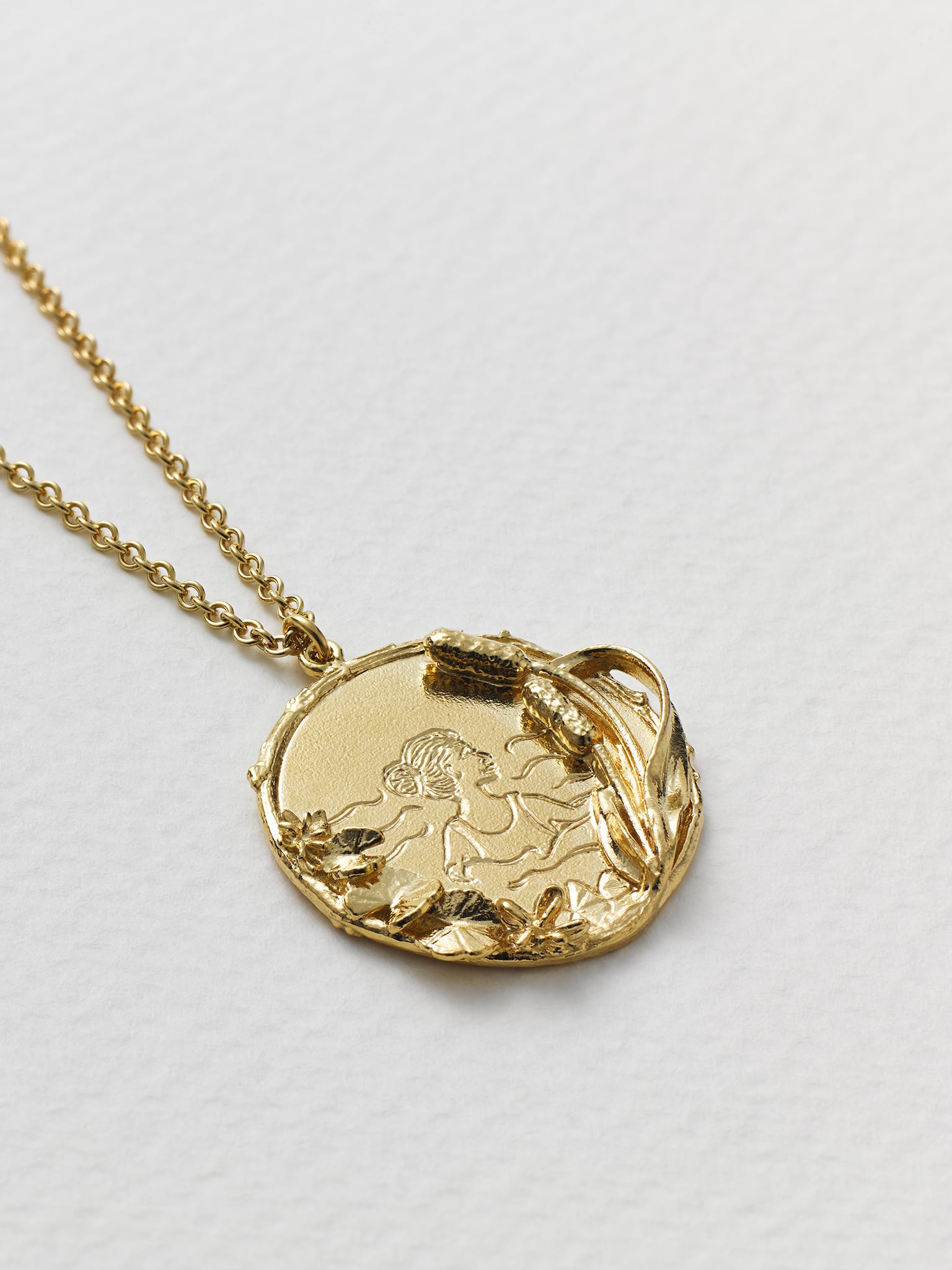 Wild Swimming Medallion Necklace with "Into the Wild" Engraving - image 4 | gold plate