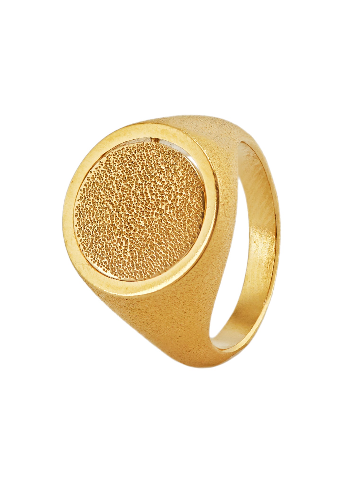 Medi Spinning Dome Signet Ring - image 1 | gold plate