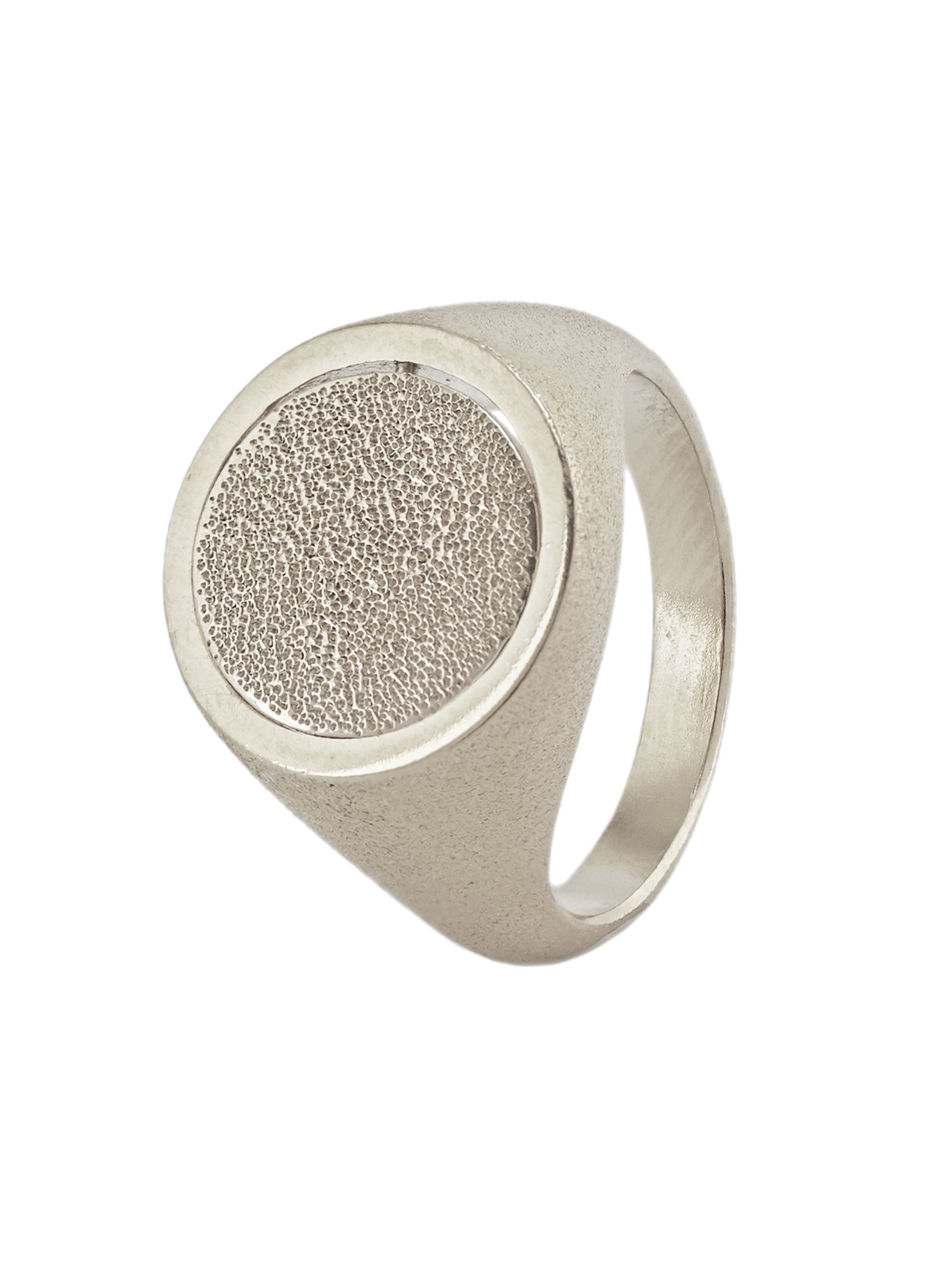 Medi Spinning Dome Signet Ring - image 6 | silver