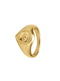 Sense of Sight Eye Teardrop Signet Ring