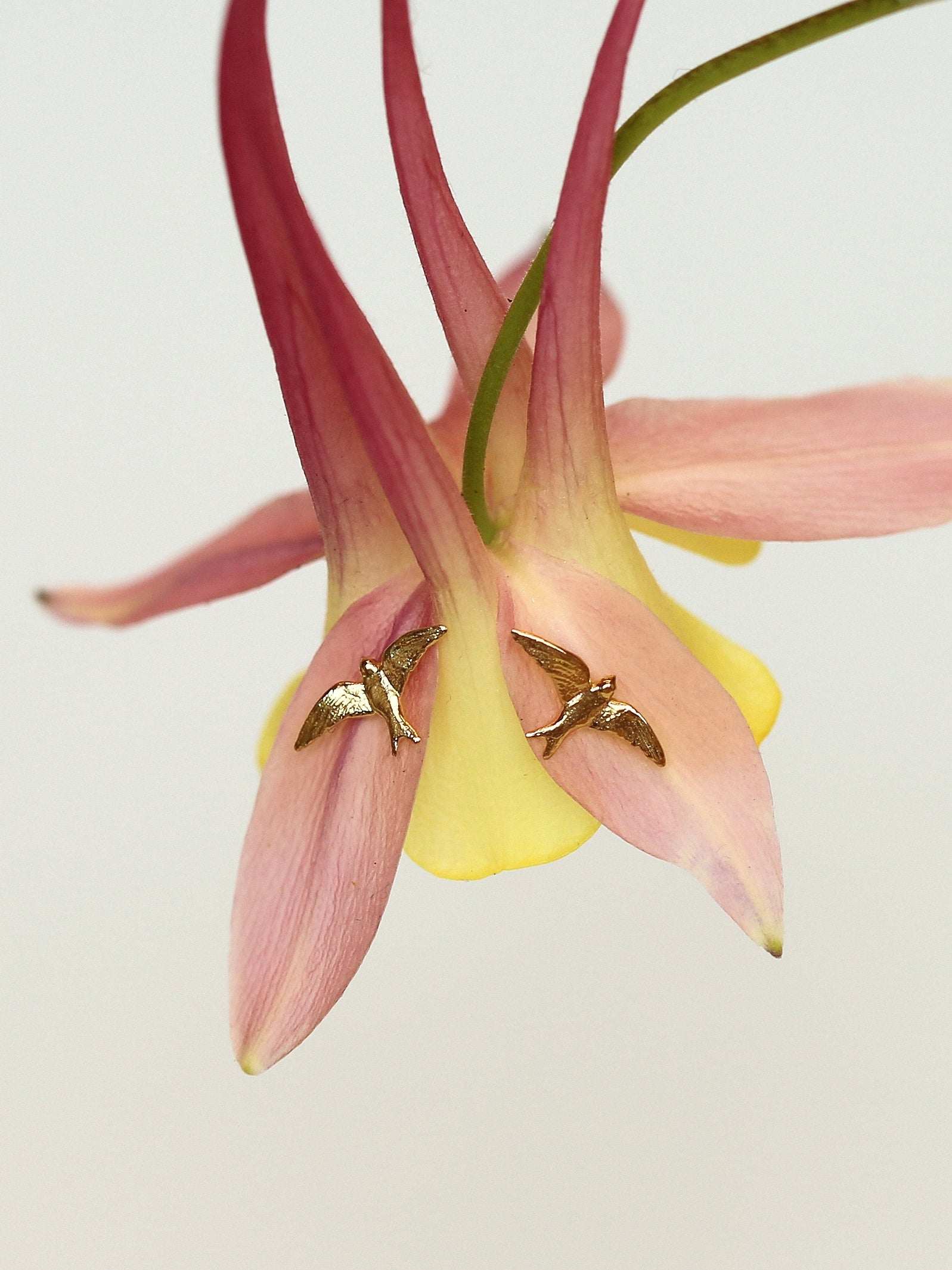 Teeny Tiny Swallow Stud Earrings - image 3