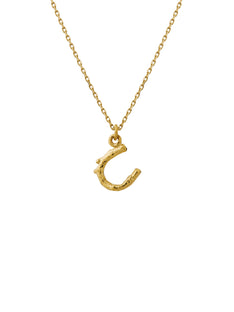 Teeny Tiny Horseshoe Necklace