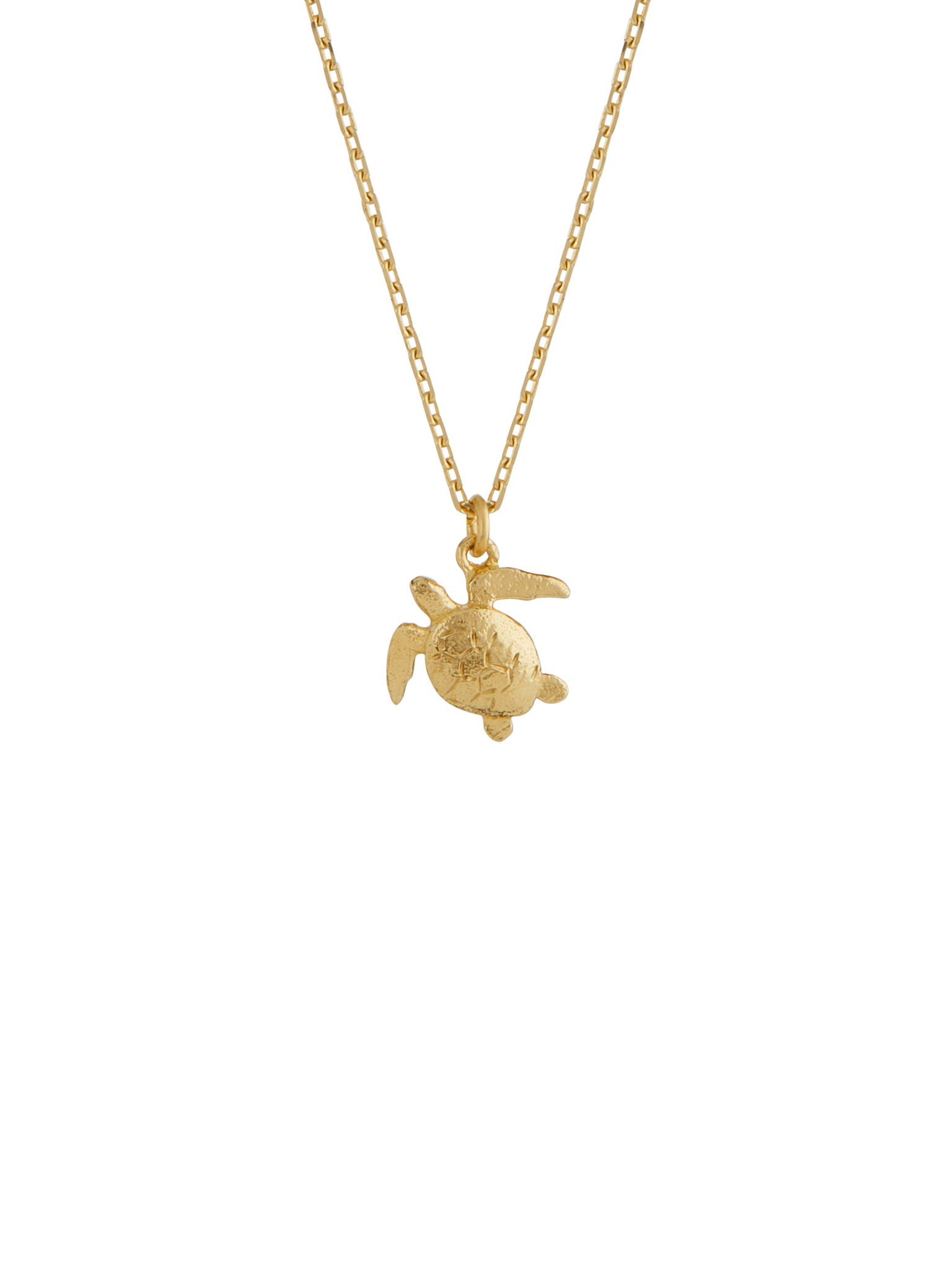 Teeny Tiny Sea Turtle Necklace - image 1 | 18ct yellow gold