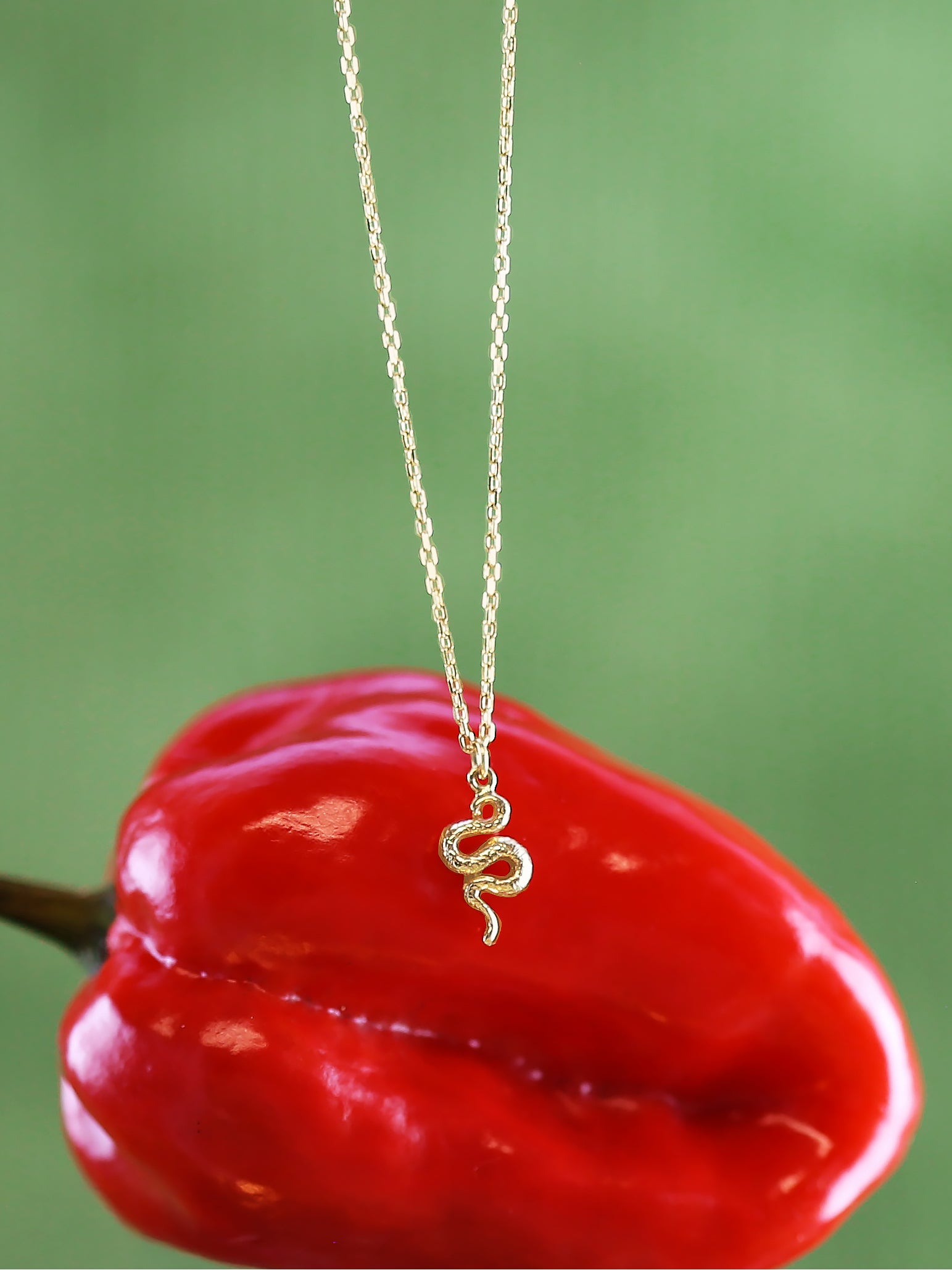 Teeny Tiny Snake Necklace - image 3