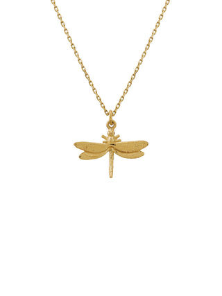 Teeny Tiny Dragonfly Necklace
