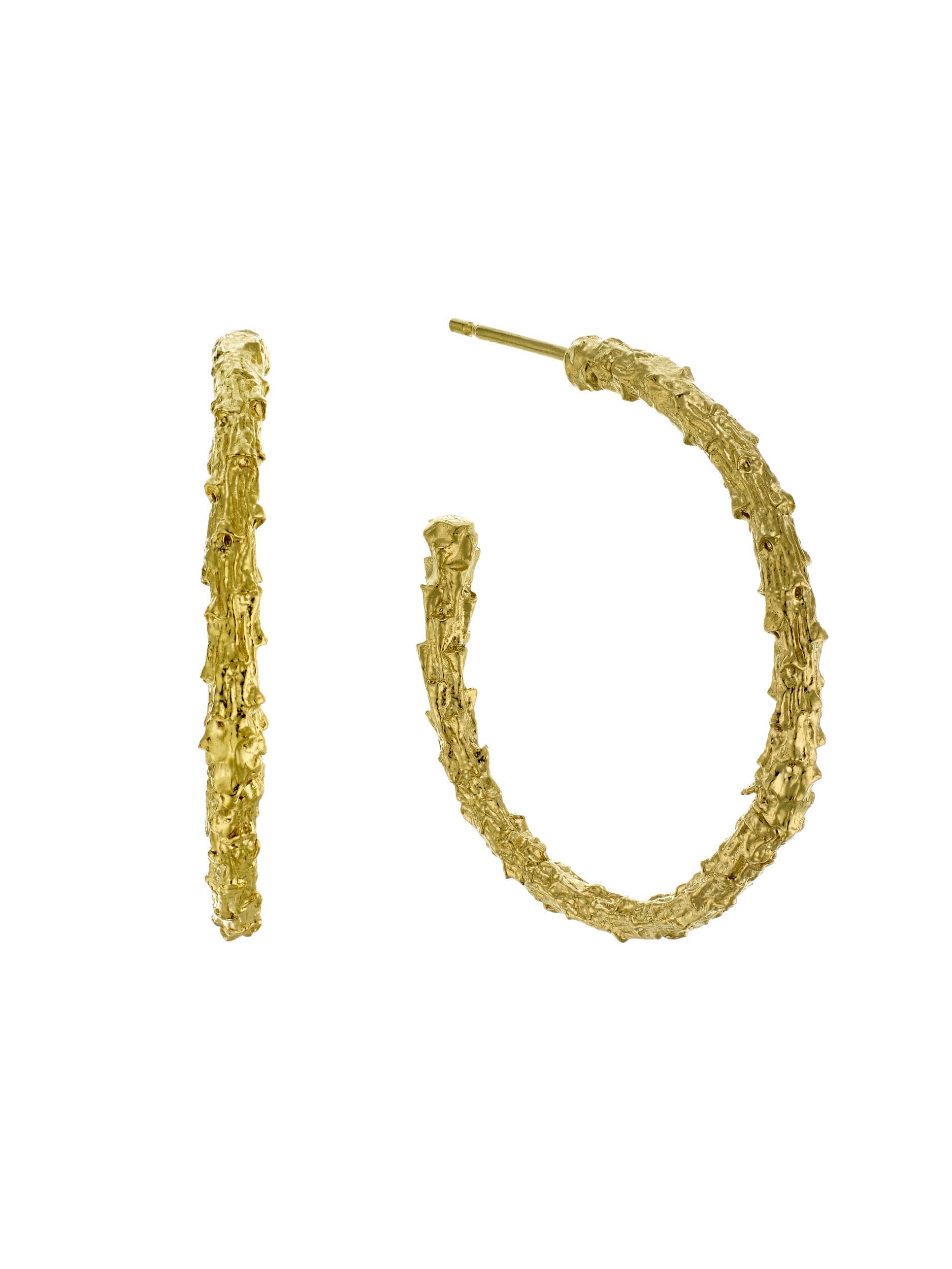 Pine Twig Hoop Earrings - image 1 | gold plate