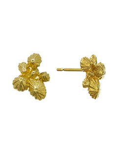 Limpet Cluster Stud Earrings