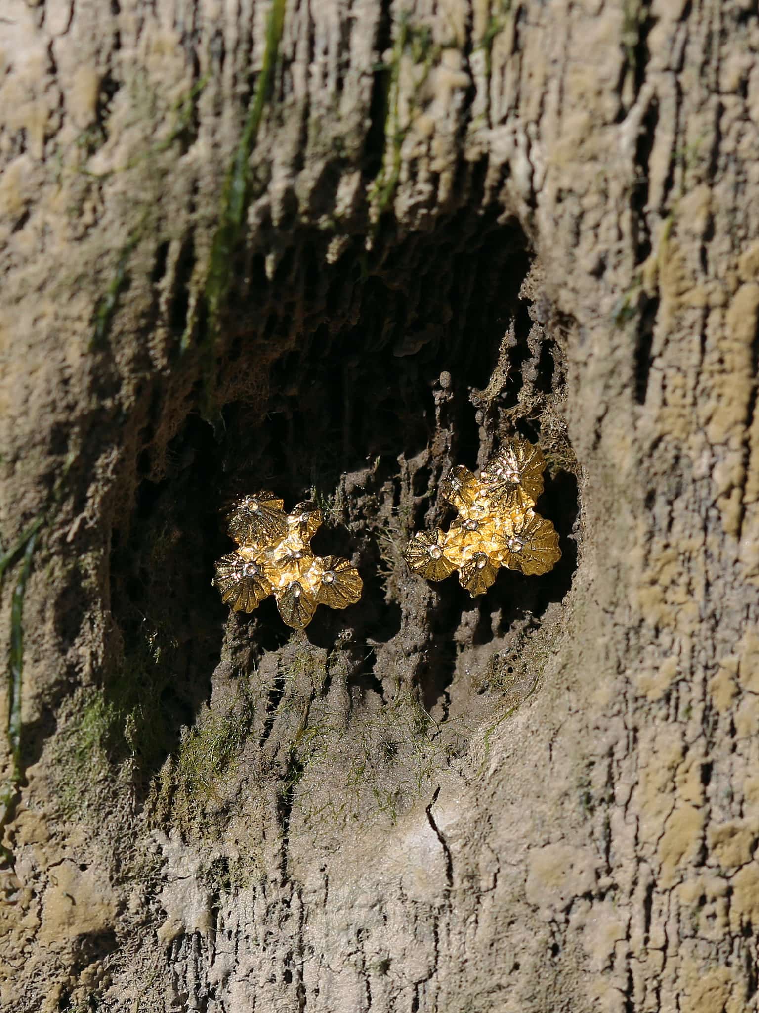 Limpet Cluster Stud Earrings - image 4