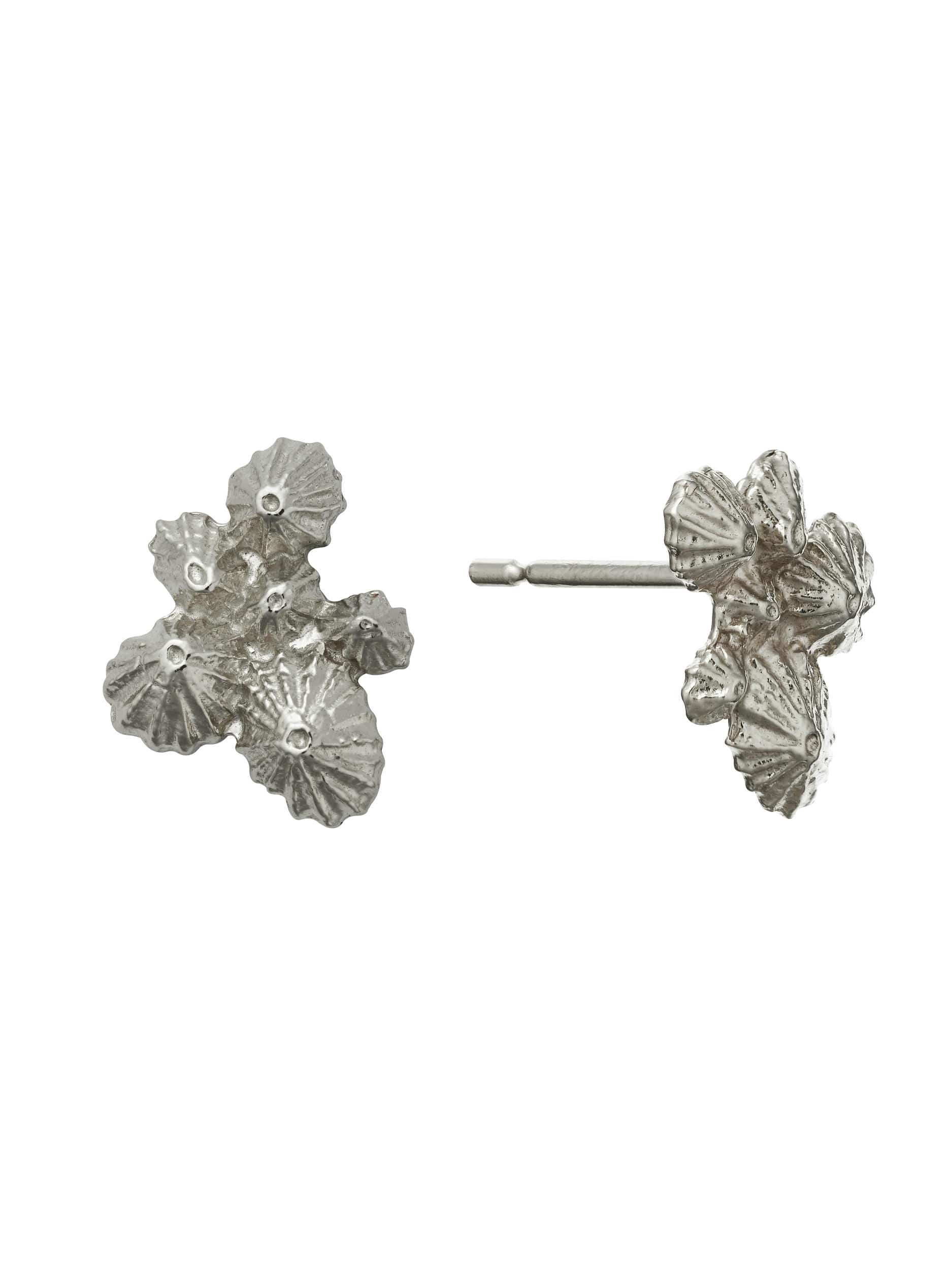 Limpet Cluster Stud Earrings - image 6 | silver