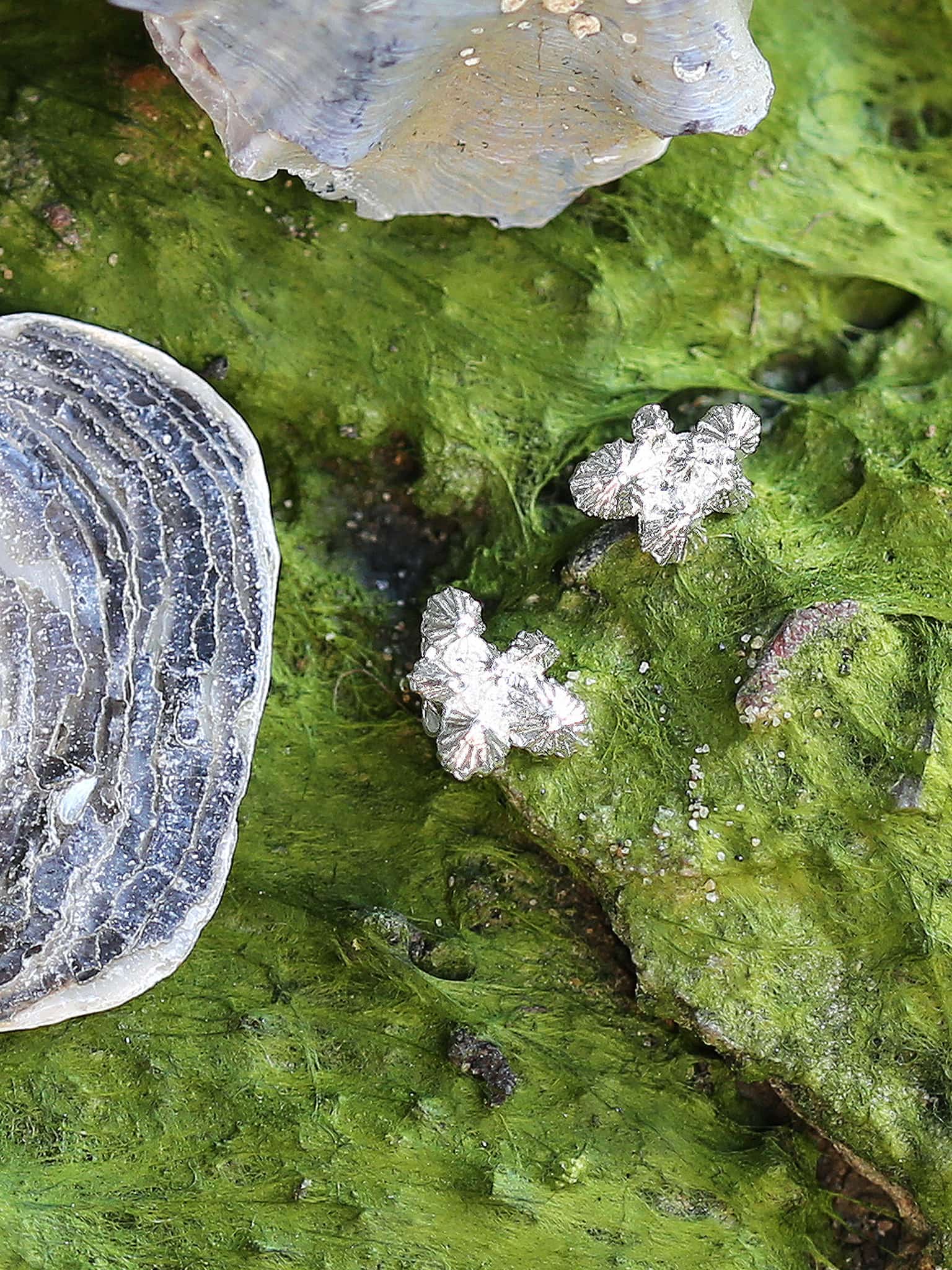 Limpet Cluster Stud Earrings - image 8