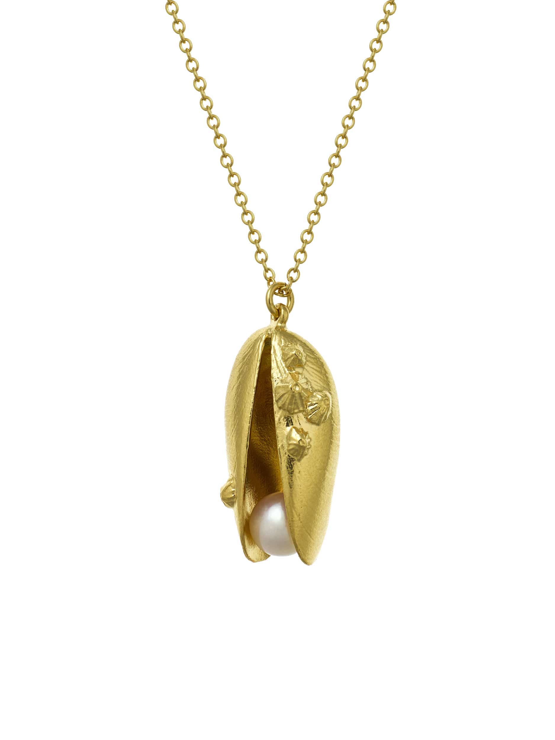 Mussel & Pearl Necklace - image 1 | gold plate