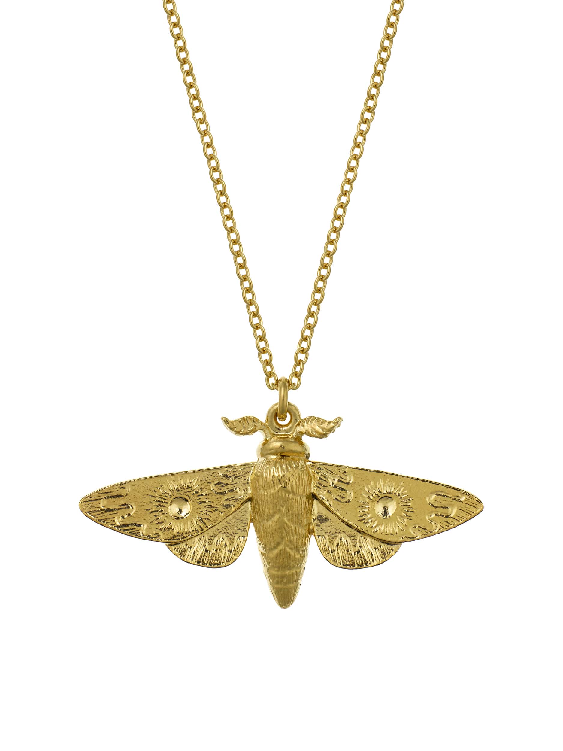 Moth Necklace - image 1 | gold plate