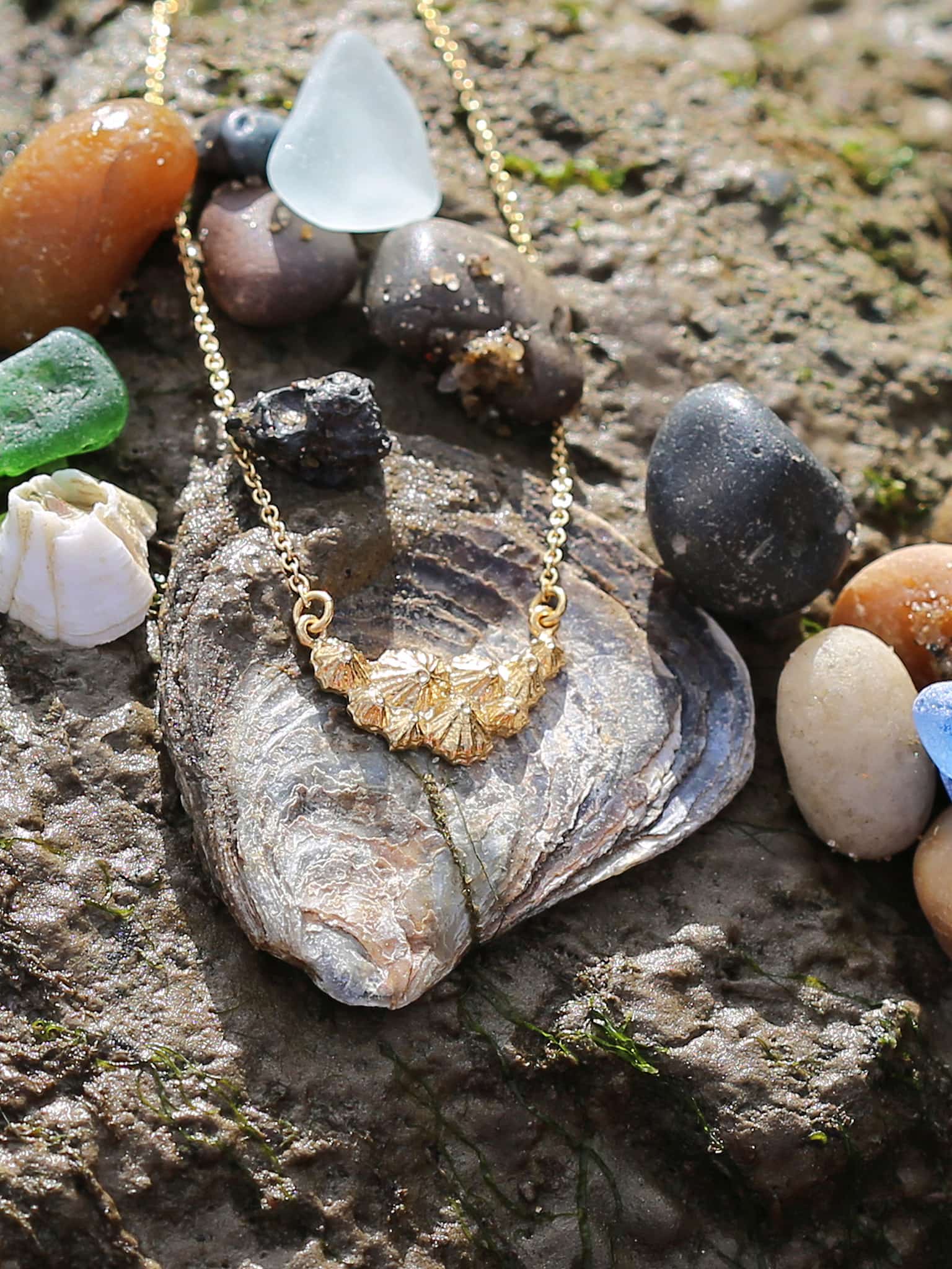 Limpet Cluster Inline Necklace - image 4