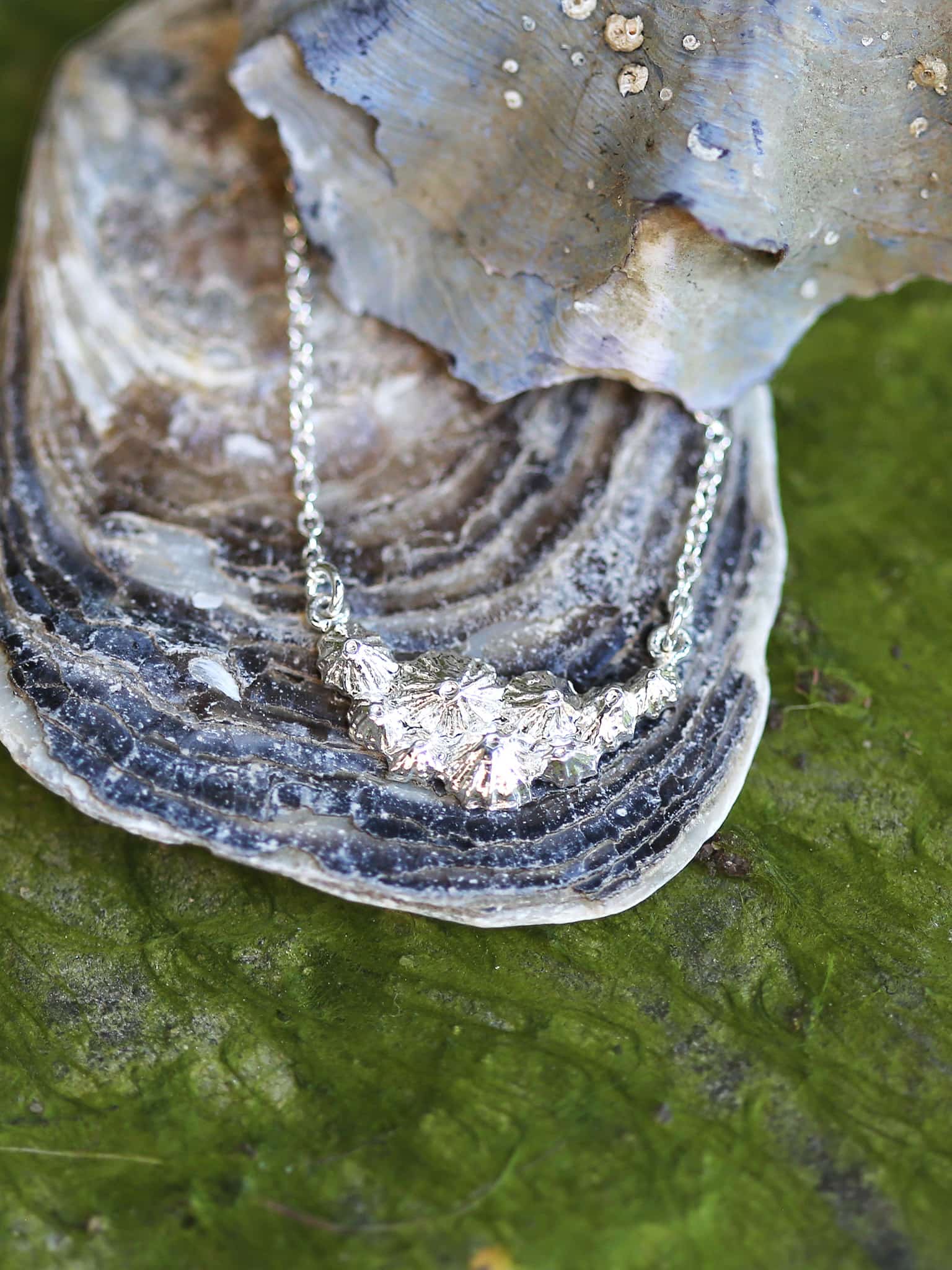 Limpet Cluster Inline Necklace - image 10