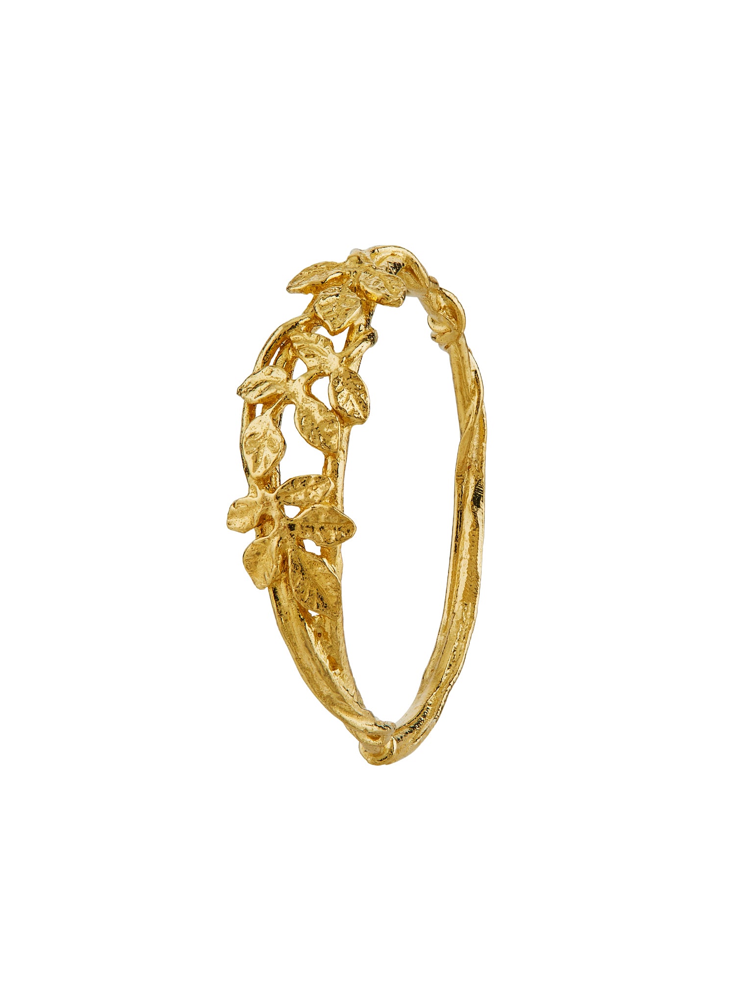 Rosa Petalum Band - image 1 | 18ct yellow gold