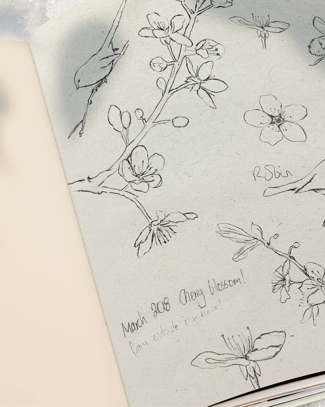 Left right text and image