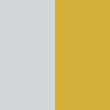 Silver & Gold Plate