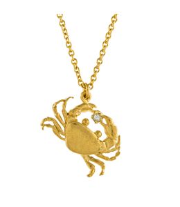 Gold Plate Cheeky Crab Necklace Product Photo