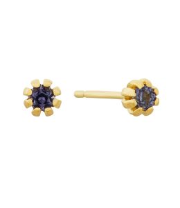 18ct Yellow Gold Royal Purple Sapphire Seruni Stud Earrings Product Photo