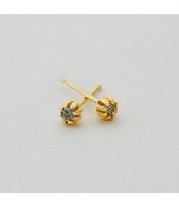 Turquoise Sapphire Seruni Stud Earrings