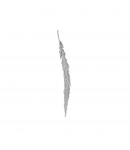 Silver Long Feather Clasp Product Photo