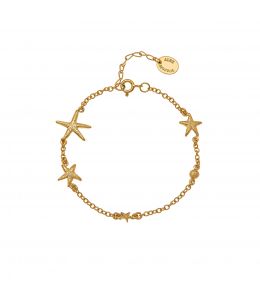 Gold Plate Starfish Constellation Bracelet Product Photo