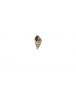 18ct White Gold Teeny Tiny Shell Single Stud Earring Product Photo