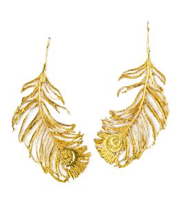 Gold Plate Peacock Feather Hook Earrings on Paper