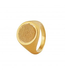 Gold Plate Medi Spinning Dome Signet Ring Product Photo