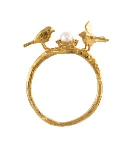 Gold Plate Birds & Nest Ring on Paper