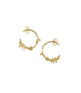 18ct Yellow Gold Rosa Folium Earrings on Paper